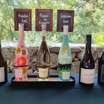 Dégustation de vin